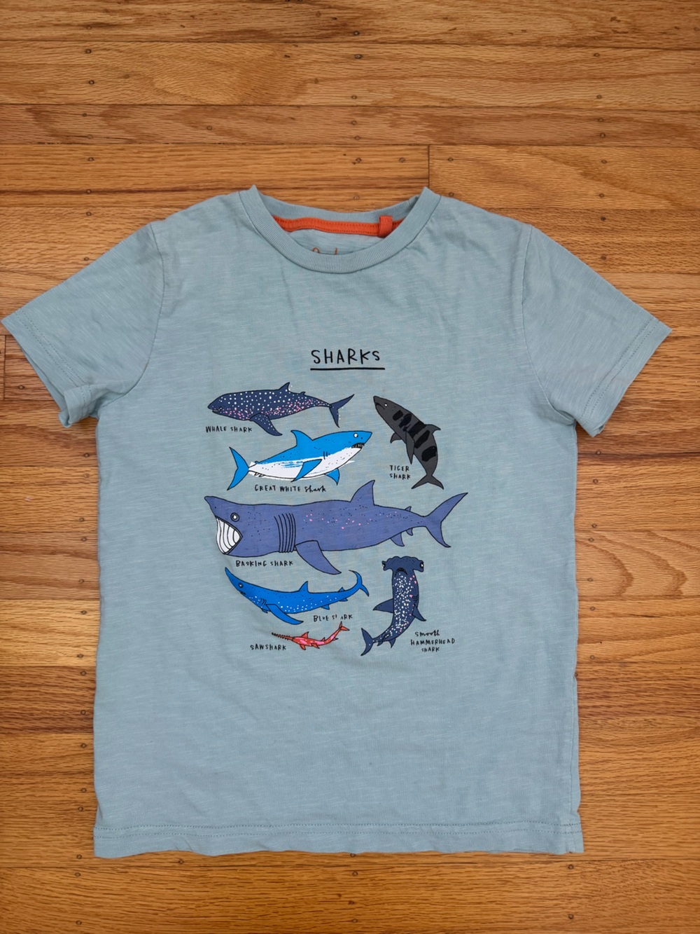 Boden Boys Blue Shark Species Graphic Tee T-Shirt Size 8-9Y (134cm) 100% Cotton